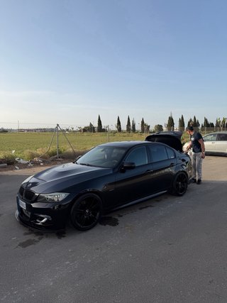 BMW Serie 3 2010