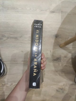 El nido de la araña