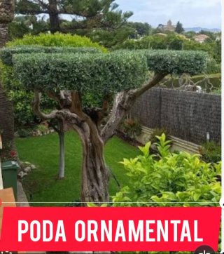 Jardinero