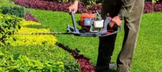 Jardinero