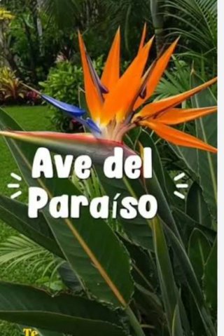 Jardinero