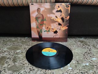 Vinilo Christopher Cross Back in my Mind