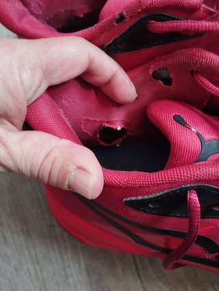 Puma Zapatillas Baloncesto Rojas