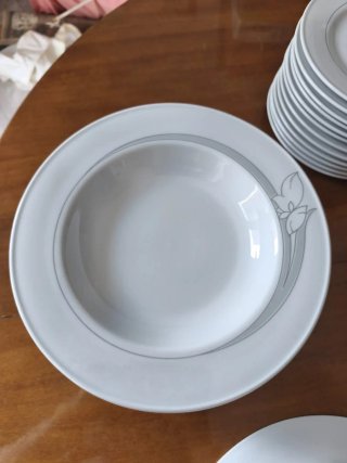 Servizio piatti Richard Ginori porcellana