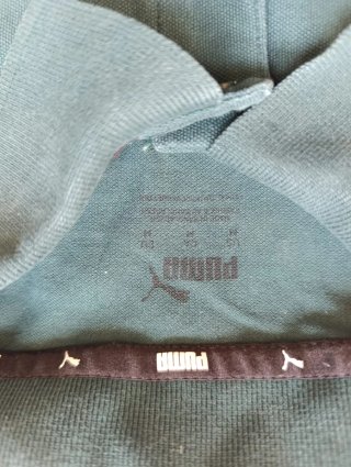 Polo Puma Verde