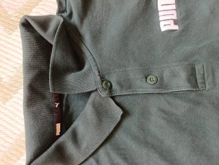 Polo Puma Verde