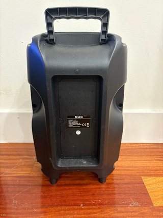 Altavoz DHG 8 1000W TWS con Micrófono