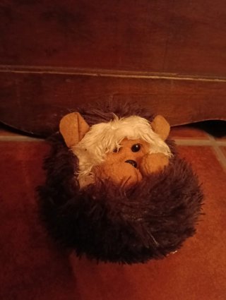 Peluche Erizo Moldeable