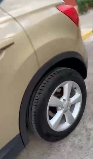 Nissan Qashqai 2007