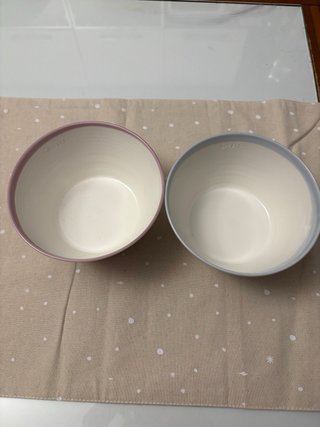 Coppia Ciotole Royal Doulton Porcellana