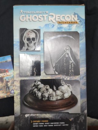 Tom Clancy's Ghost Recon Wildlands PS4 + Extras