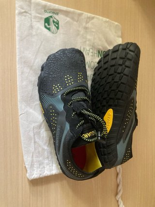 Zapatillas saguaro Talla 38