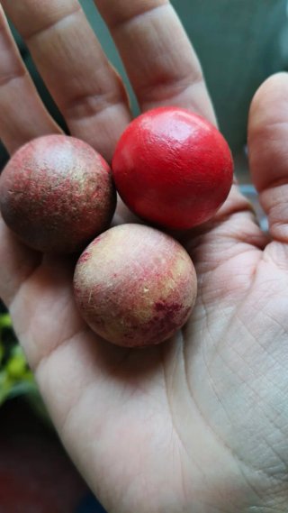 Bolas de petanca y estuche vintage