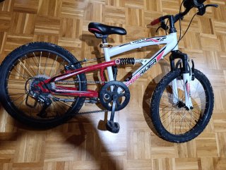 Bicicleta infantil Freerider 20