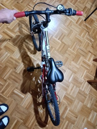 Bicicleta infantil Freerider 20