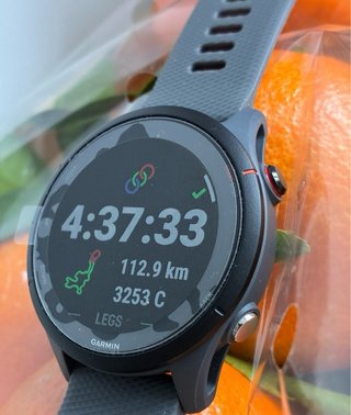 Garmin Forerunner 255 Gris
