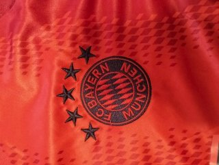 Camiseta Bayern Múnich 24/25