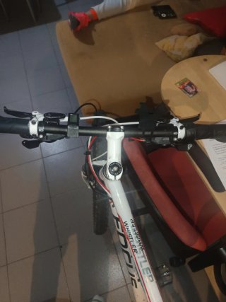 Bicicleta de montaña Focus