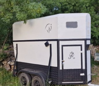 Porte Caballos o Alquiler van