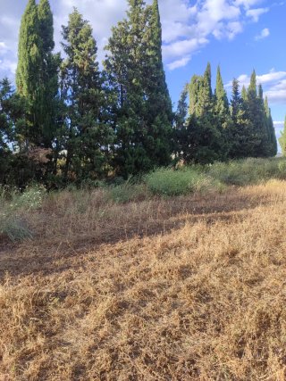 Parcela 250 metros