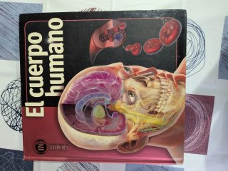 Libros de misterio y bestsellers