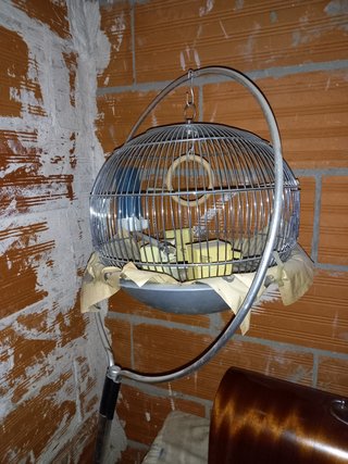 Jaula Redonda para Pájaro