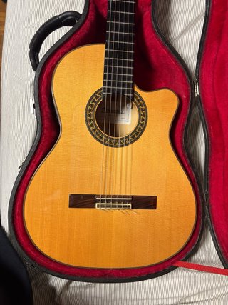 Guitarra Flamenca Alhambra Amplificada
