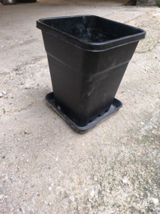 Macetas de plástico 7L
