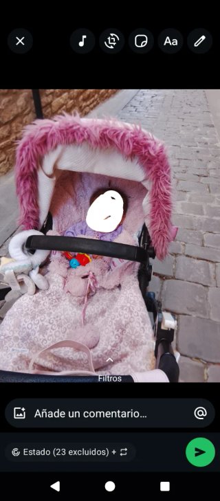 Carro Bugaboo