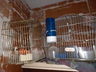 Jaula para pájaros