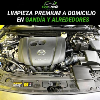 Limpieza en seco Premium a Domicilio en Gandía