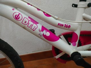 Bicicleta Infantil DTB Fun 160