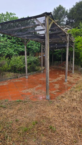 Pérgola de madera