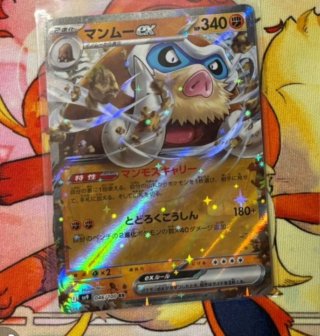 Cartas Pokémon EX japonés TCG