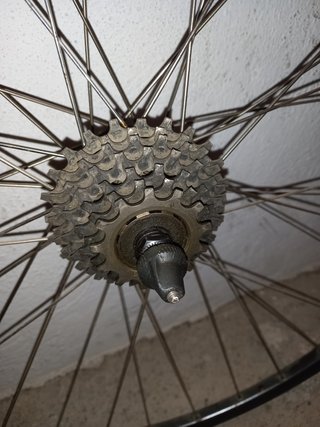 Rueda de Bicicleta de Recambio
