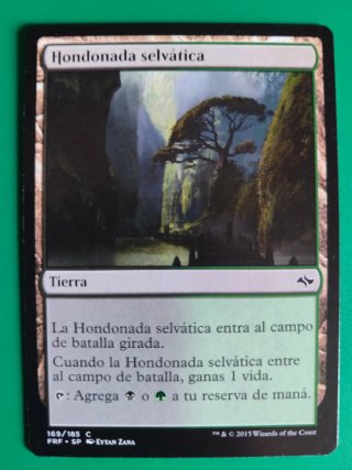 Carta Magic Hondonada Selvática (Tierra)