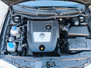 Volkswagen Golf 1.9 TDI 100cv 2004 con 289.842