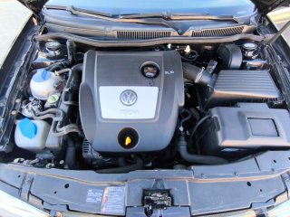 Volkswagen Golf 1.9 TDI 100cv 2004 con 289.842