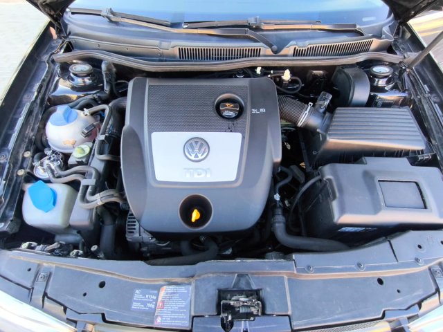 Volkswagen Golf 1.9 TDI 100cv 2004 con 289.842
