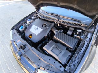 Volkswagen Golf 1.9 TDI 100cv 2004 con 289.842