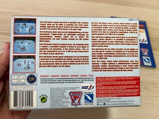 Brett Hull Hockey Super Nintendo