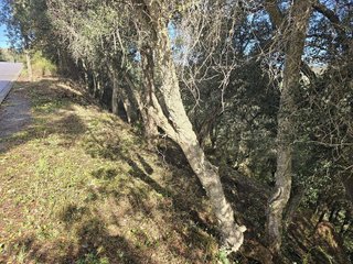 Terreno en venta en Mas Pere-Río de Oro en Calonge