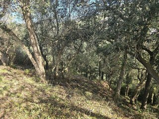 Terreno en venta en Mas Pere-Río de Oro en Calonge