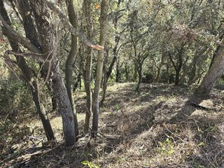 Terreno en venta en Mas Pere-Río de Oro en Calonge