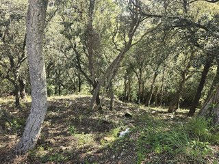 Terreno en venta en Mas Pere-Río de Oro en Calonge