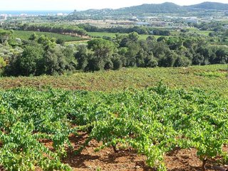 Terreno en venta en Mas Pere-Río de Oro en Calonge