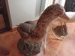 Gaviota decorativa