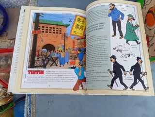 El cómic : una historia en imágenes
