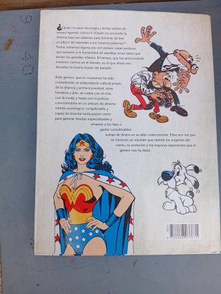 El cómic : una historia en imágenes