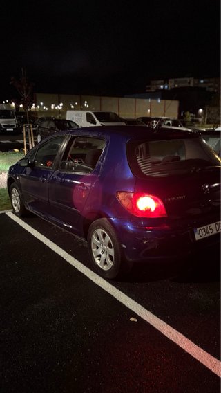 peugeot 307